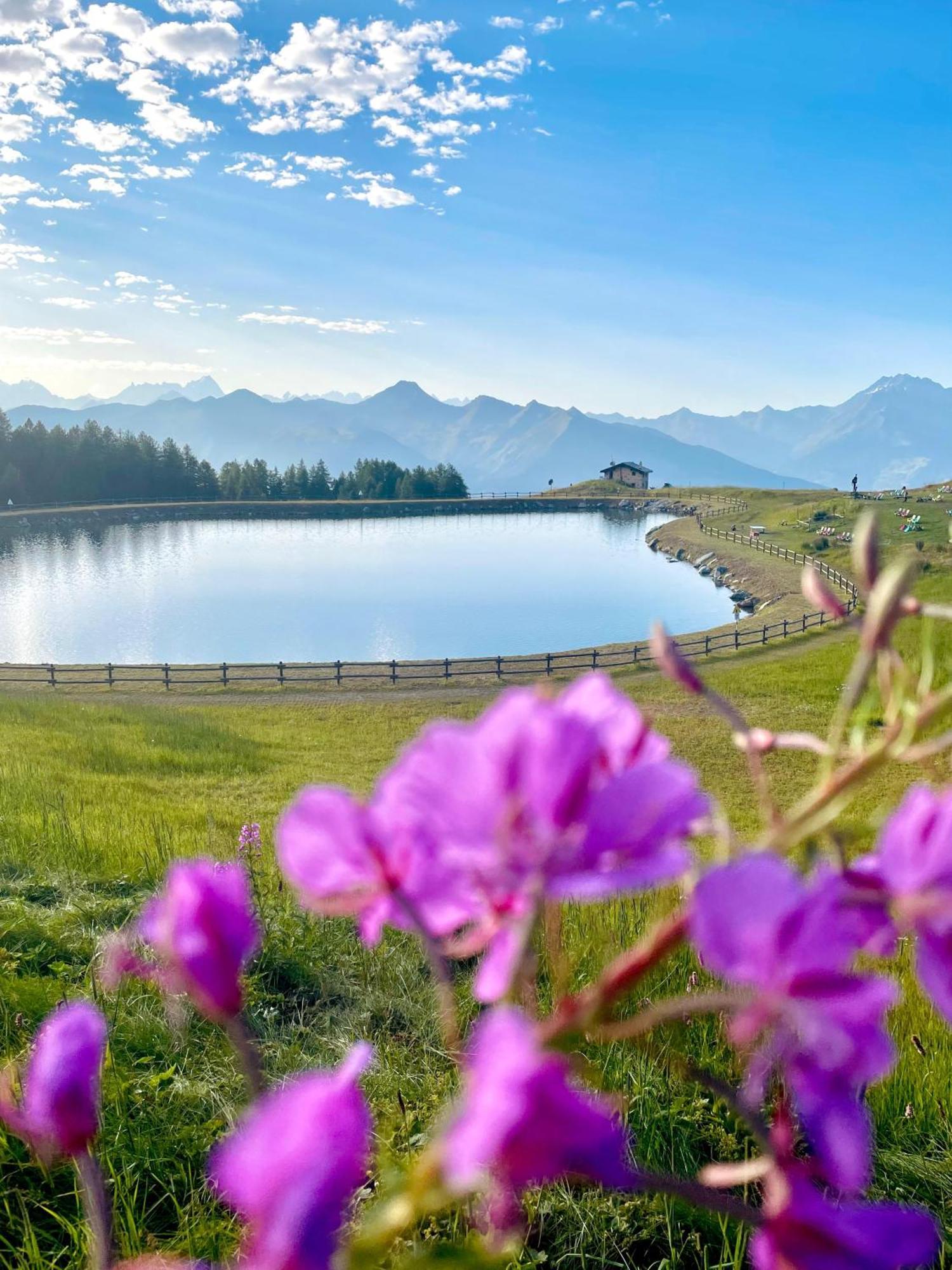 Alpine Dream House - Chalet เกรสซาน ภายนอก รูปภาพ